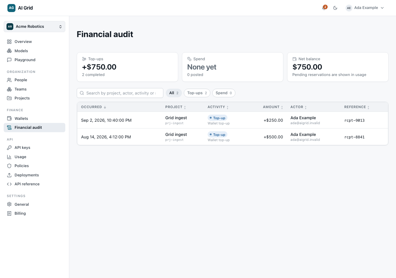 Financial audit page with Top-ups, Spend and Net balance stats and lens chips