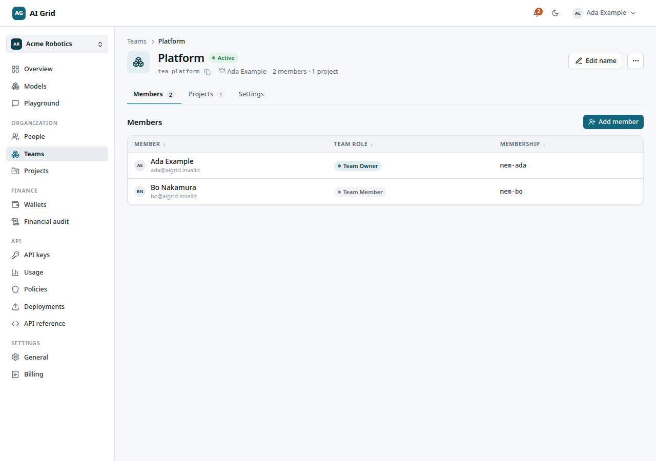 Team record, Members tab, with Add member drawer and team role controls